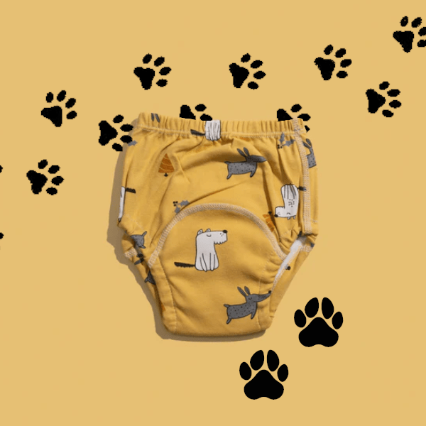 Wiederverwendbare Trainingshöschen für Kleinkinder – Windeltraining für 1–4 Jahre 1+1 GRATIS